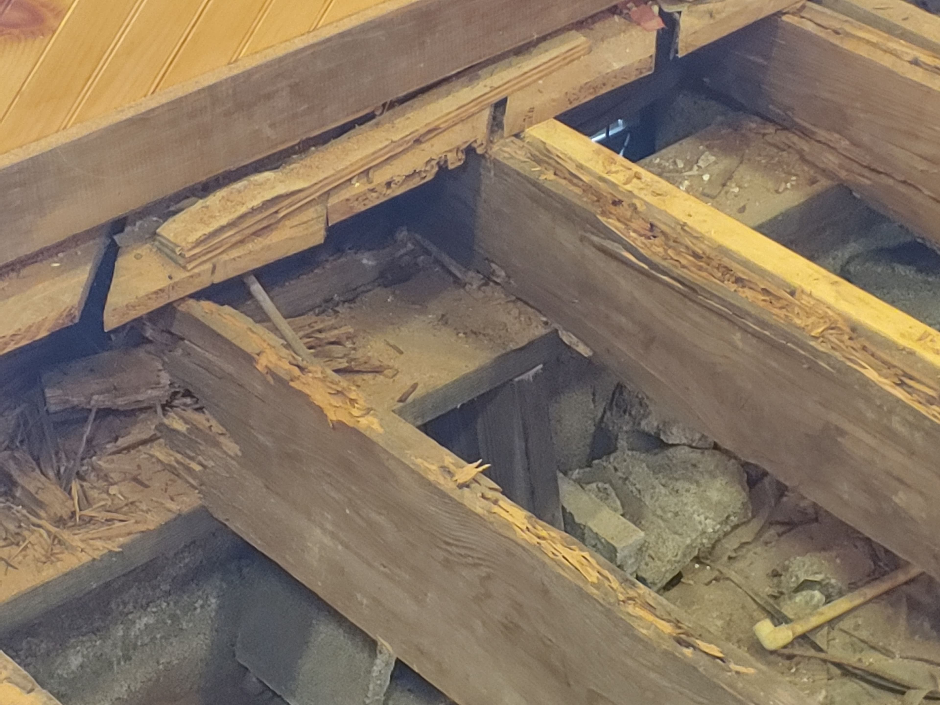 Project Termite-Damaged Floor System Rebuilt From the Ground Up image
